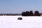 Baseline Barn