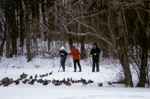 Cross Country Skiers